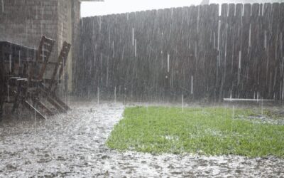 Landscape Drainage Solutions For Dallas GA Lawns